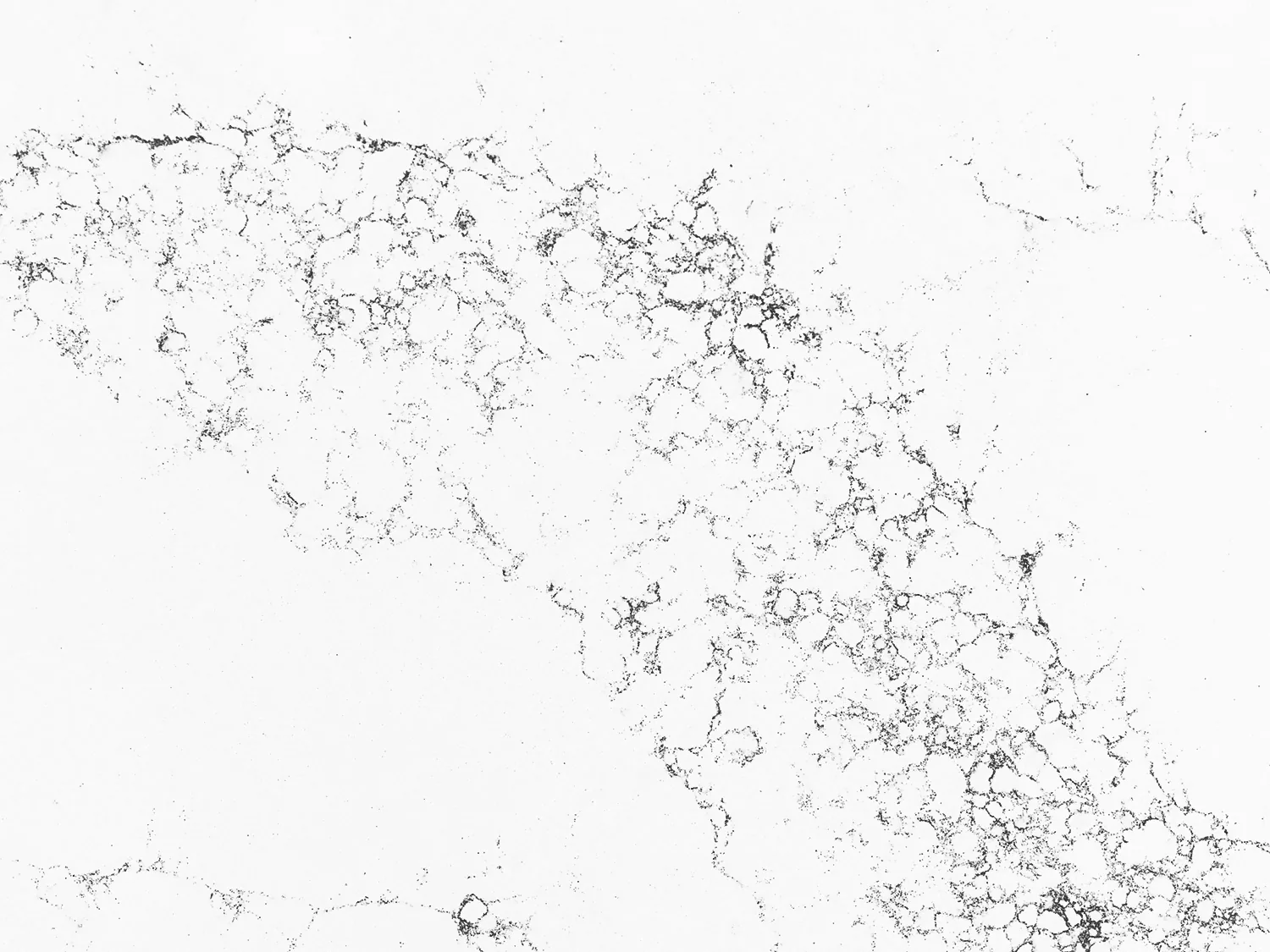 Chantilly Hanstone Quartz close-up detail