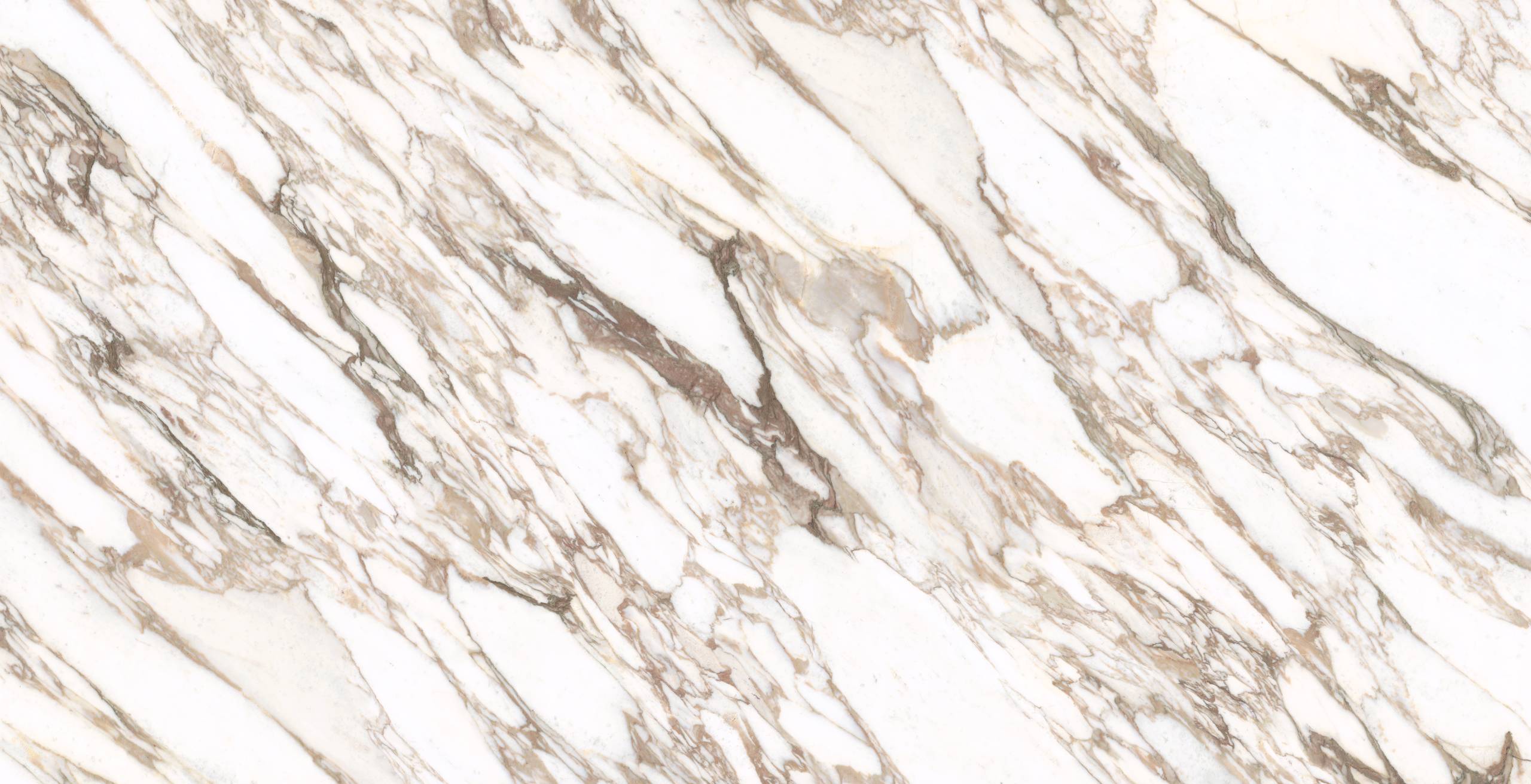 Calacatta Vagli Gold Lucciare Quartz swatch