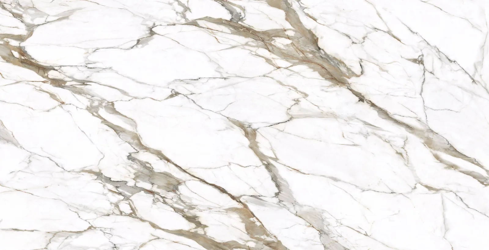 Calacatta Macchia Vecchia Lucciare Quartz full slab