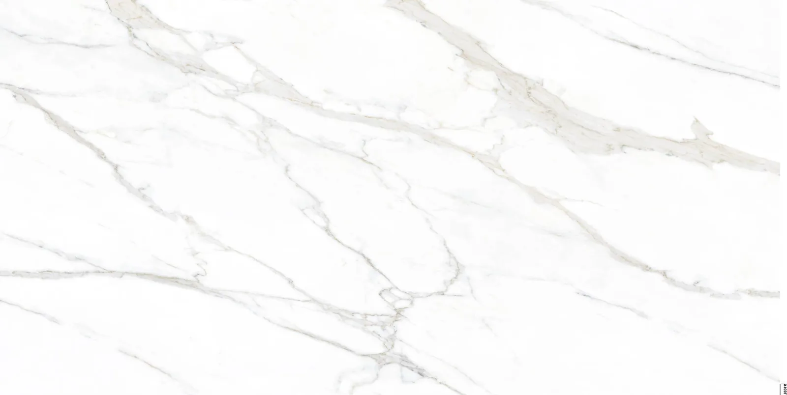 Calacatta Oro Lucciare Quartz full slab